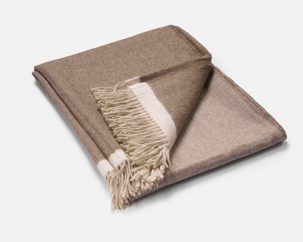 Nordlys/Northern-Brown Gradient